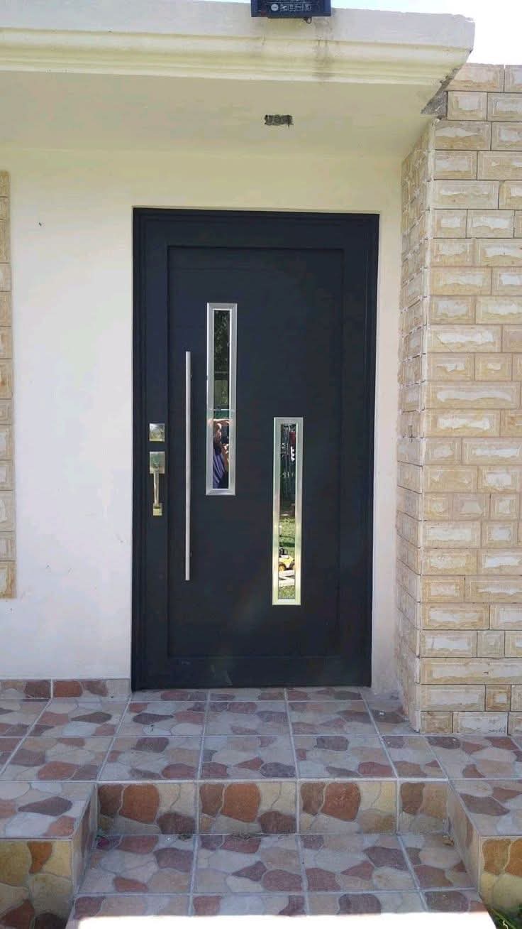 Modern door